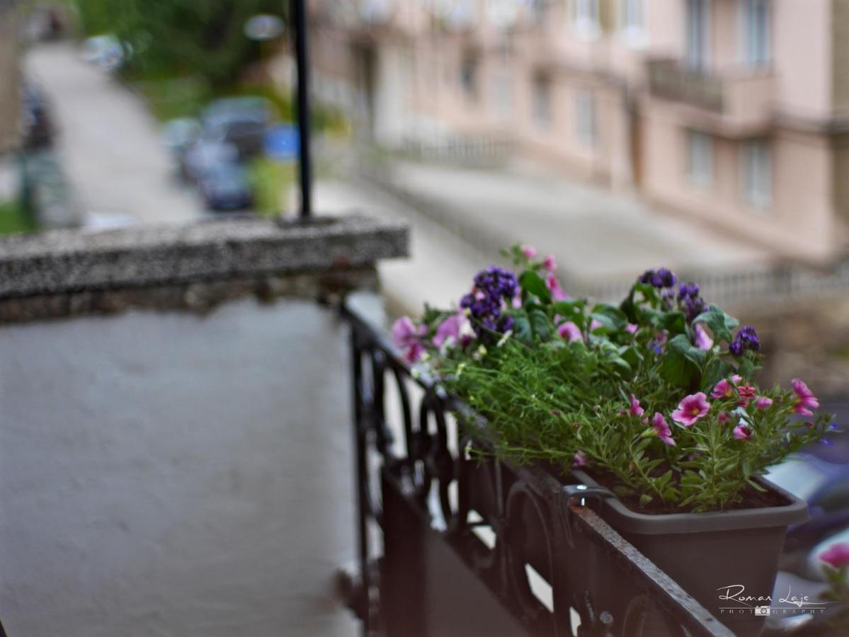 Emily Apartment Košice Eksteriør billede